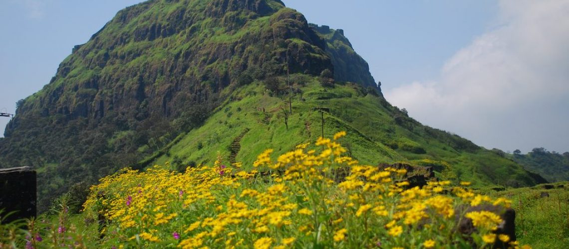 Rajgad_after_monsoon-1024x675